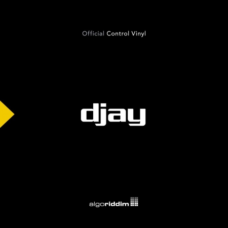 [12인치 djay DVS 바이닐] djay PRO AI Control Vinyl (Black Single)